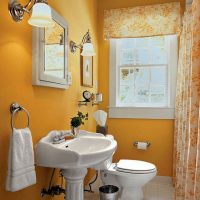 Bathroom Thumbnail size Half Bathroom Contemporary Small Bathrooms Design Ideas Tiny Inspiration Decoration Architectural Ceramic Floor Ceiling Space Decorating Spaces For Shower Colors Garden Tile Pictures