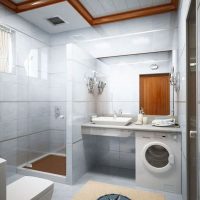 Bathroom Thumbnail size Ideas Modern Bathroom Contemporary Small Bathrooms Design Ideas Tiny Inspiration Decoration Architectural Ceramic Floor Ceiling Space Designs Remodeling Color Home Decorating Remodel