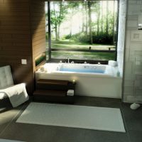 Bathroom Thumbnail size Awesome Bathroom Design With Minimalist Tub And Leaf View By Pearl Baths