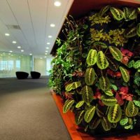 Ideas Portable Wall Decor With Green Plants 560x438 Wonderful Indoor Green Walls Design Ideas