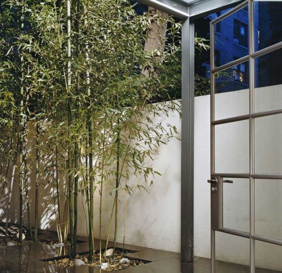 City Garden Design With Bamboo Garden