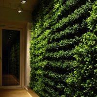 Ideas Portable Wall Decor With Green Plants 560x438 Wonderful Indoor Green Walls Design Ideas