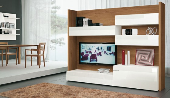 Ecological Living Room Area With TV Setups 560x325 Ideas