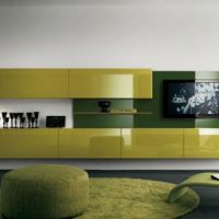 Ideas Contemporary Living Area With Black White Theme And Glass Wall Mount 560x325 Surprising Wall Units Design For TV Setups – Hot Trend