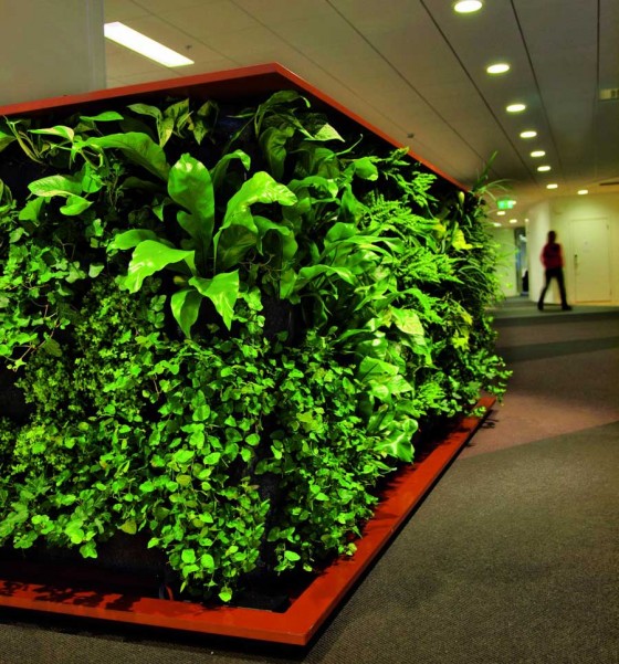 Fresh Effect For Room With Green Walls Decoration 560x601 Ideas