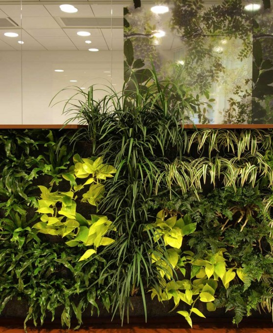 Fresh Green Wall Office Decoration Ideas 560x681 Ideas