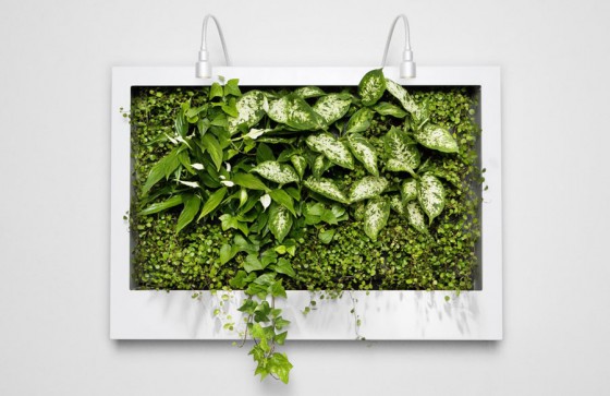 Green Plants Accent For Flat White Wall By Greenworks 560x363 Ideas