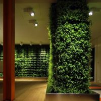 Ideas Thumbnail size Fresh Green Wall Office Decoration Ideas 560x681