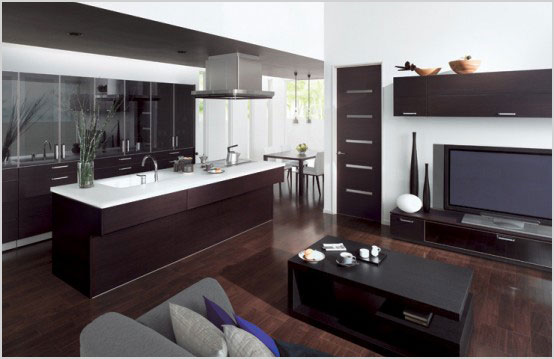 Ideas Kitchen With Living Room Design Stunning Combine Kitchen and Living Room with Cuisia by TOTO