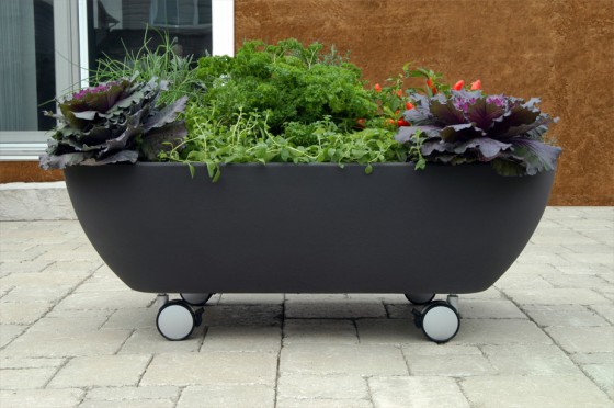 Mobile Garden Using Black Bath Tubs 560x372 Garden