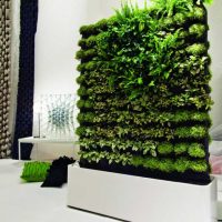 Ideas Thumbnail size Fresh Green Wall Office Decoration Ideas 560x681