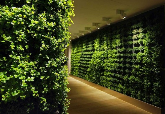 Ideas Outstanding Green Walls For Coridor 560x386 Wonderful Indoor Green Walls Design Ideas