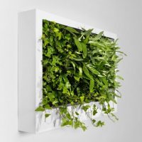 Living Room Thumbnail size Portable Wall Decor With Green Plants 560x438