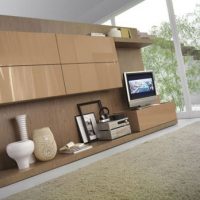 Living Room Shelf Divider Between The Bedroom And Living Room Red-Furniture-Combined-with-White-Tv-for-Living-Room-by-Laltrogiorno