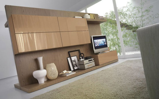 Living Room Shelf Divider Between The Bedroom And Living Room Awesome Modern Living Room Layouts from Tumidei