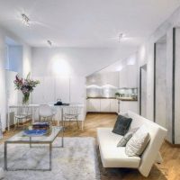 Apartment Spectacular Living Room For Apartment With Tibetan Lambs Wool 560x371 Shining-Kitchen-Area-with-White-Theme-and-Modern-Appliances-560x371