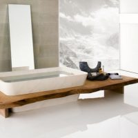 Bathroom Contemporary Bathroom Design By Neutra With Double White Bashin And Grey Tub 560x381 Marvelous Beautiful Modern And Luxury Bathrooms from Neutra