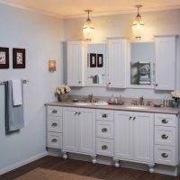 Ideas Thumbnail size Medicine Cabinet Mirror Replacement With Double Bathroom Vanity Also Lighting Chandeliers Modern Cabinets Cabinet With Mirrors Recessed Kohler Mirrored Surface Mount Lights Antique