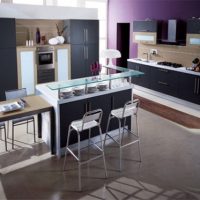 Kitchen Amazing Violet Kitchen Design With Modern German Style Enchanting Purple Kitchen Design Inspirations