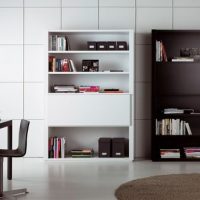 Teen Room Thumbnail size Big Junior Bedroom With Black And White Modern Book Shelves Design