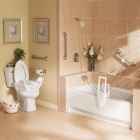 Ideas Thumbnail size Elevated Toilet Seat With Grab Bar Design