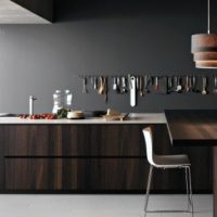 Kitchen Very Stylish Contemporary Kitchen Picture Design With Stainless Steel Mixed Cognac Oak Cool Contemporary Italian Kitchen Design by CesarCesar