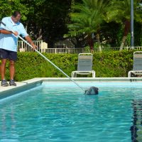 Pool Design Swimming Pool Maintaining Service Equipments-to-Maintain-a-Pool