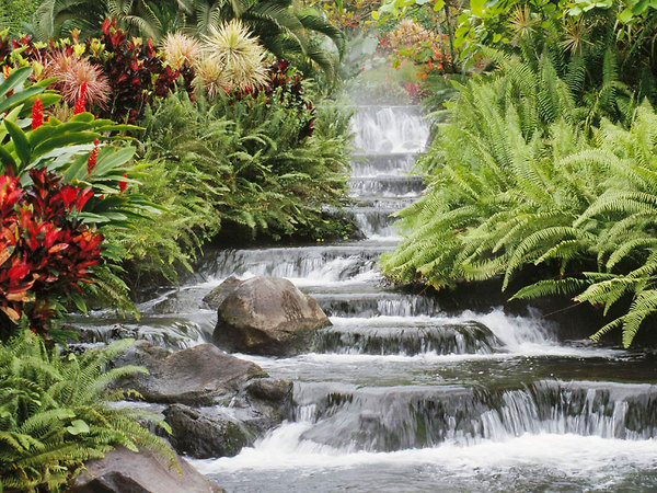 Garden A Great Building A Waterfall Steps to Building a Waterfall with Cheaper Cost